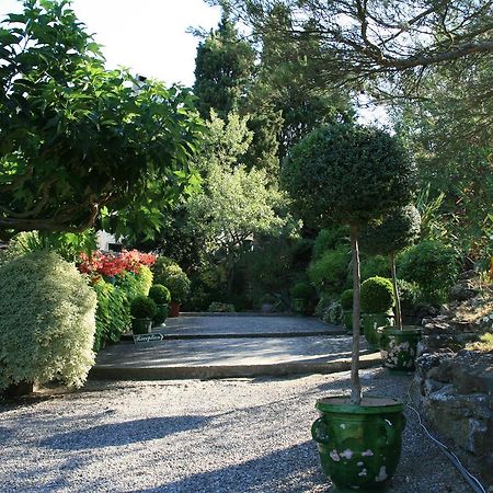 La Maison Sur La Colline Каркасон Екстериор снимка