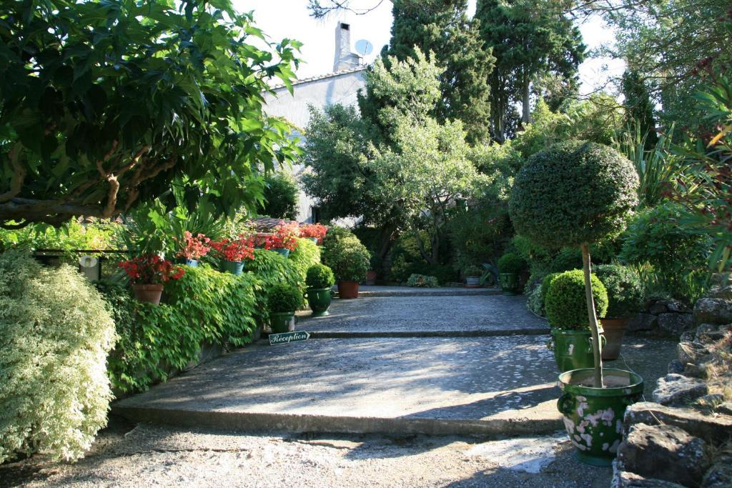 La Maison Sur La Colline Каркасон Екстериор снимка